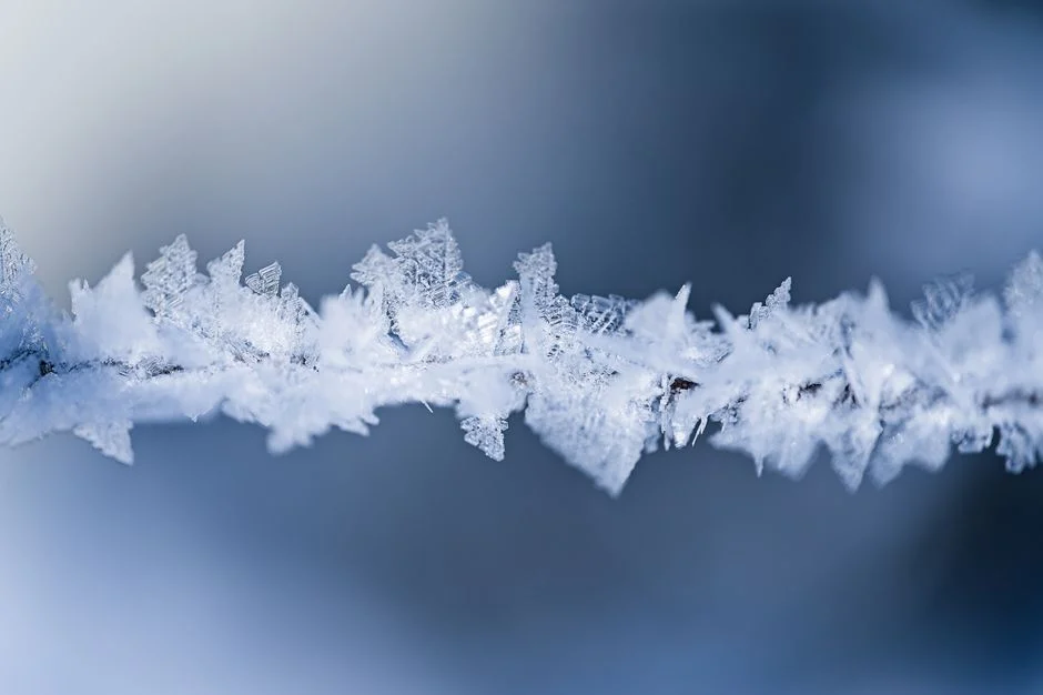 evaporator coil with frost