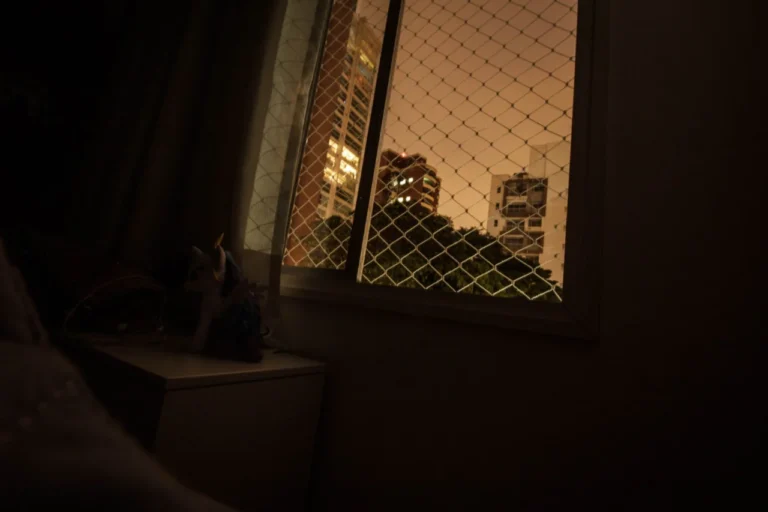 Tela mosquiteira para apartamento: varanda sem insetos